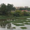 Estado actual del río Guadiana a su paso por Badajoz