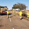 Los bomberos evitan que un incendio forestal afecte a la Sierra de San Pedro