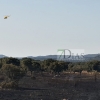 Los bomberos evitan que un incendio forestal afecte a la Sierra de San Pedro