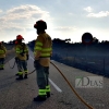 Los bomberos evitan que un incendio forestal afecte a la Sierra de San Pedro