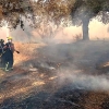 Incendio forestal en la comarca de Zafra Río-Bodión