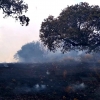 Incendio forestal en la comarca de Zafra Río-Bodión