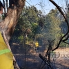 Un incendio afecta a varios chalets de la carretera de Cáceres (Badajoz)