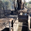 Un incendio afecta a varios chalets de la carretera de Cáceres (Badajoz)