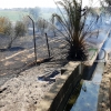 Un incendio afecta a varios chalets de la carretera de Cáceres (Badajoz)