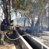 Un incendio afecta a varios chalets de la carretera de Cáceres (Badajoz)