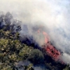 Imágenes del incendio en Cabezuela del Valle (Cáceres)