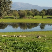 Extremadura fomentará el manejo holístico sostenible de los pastos a través de un proyecto