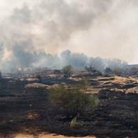 Esfuerzo titánico de los bomberos para extinguir un incendio en Hinojosa (Badajoz)