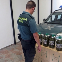 La Guardia Civil recupera 160 litros de aceite de oliva sustraídos en una almazara