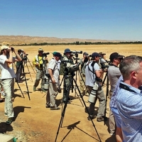 Británicos, alemanes y holandeses, mayoría de turistas ornitológicos que visitan Extremadura