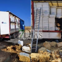 Se incendia la carga de un camión en un área de servicio (Badajoz)