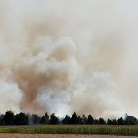 Un incendio en la ribera del Guadiana avanza sin control cerca de Barbaño (Badajoz)