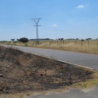 Ingresa en prisión el supuesto autor material de los incendios declarados en Cáceres