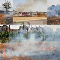 Incendio en Las Moreras, junto al Parque del Guadiana de Badajoz