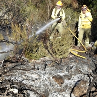 Quieren implantar un proyecto para prevenir los incendios en la Sierra de San Pedro