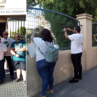 La sede de la CHG se llena de lazos verdes en señal de protesta