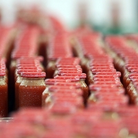 Tomate cultivado en Extremadura da la vuelta al mundo