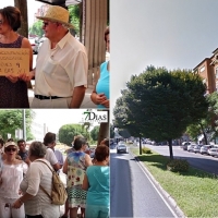 25 colectivos asistirán este jueves contra la tala de los olmos en San Fernando (Badajoz)