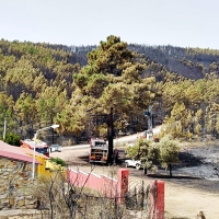 El incendio de Jola permanece controlado y desactivan el nivel 1 de peligrosidad