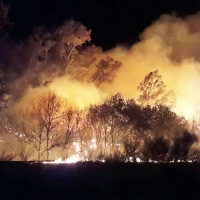 Incendio la pasada noche entre Don Álvaro y Alange