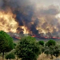El INFOEX trabaja en un incendio forestal en la zona de Alcántara (CC)