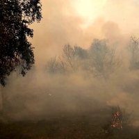 Incendio forestal en la comarca de Zafra Río-Bodión