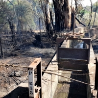 Un incendio afecta a varios chalets de la carretera de Cáceres (Badajoz)