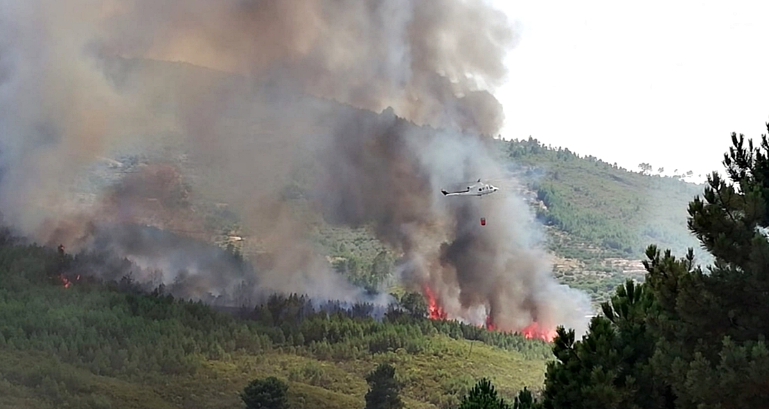 Imágenes del incendio en Pinofranqueado (CC)