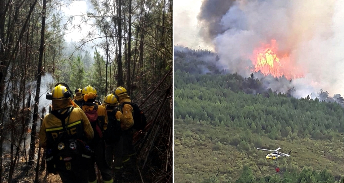 Imágenes del incendio en Pinofranqueado (CC)