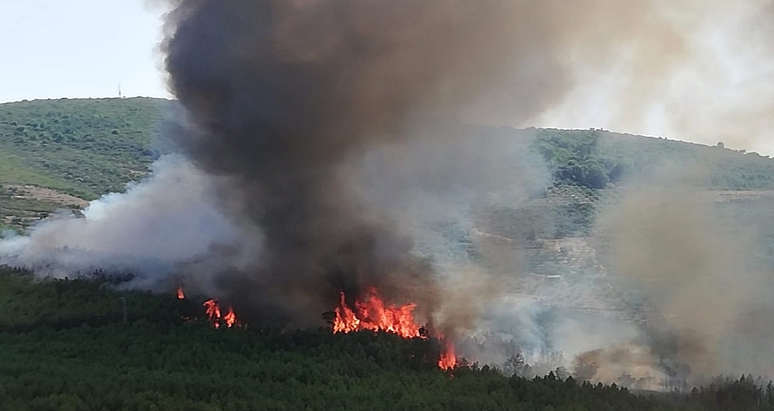 Imágenes del incendio en Pinofranqueado (CC)