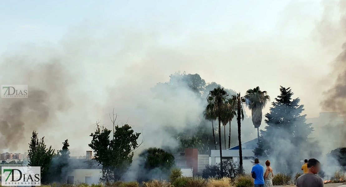 Las llamas casi alcanzan las instalaciones polideportivas del Pabellón Juancho Pérez