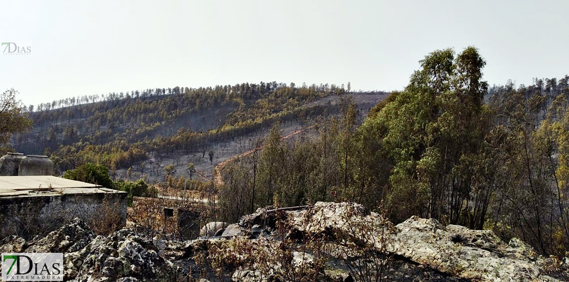 El INFOEX da por estabilizado el incendio aunque continúa activo y en nivel 1 de peligrosidad