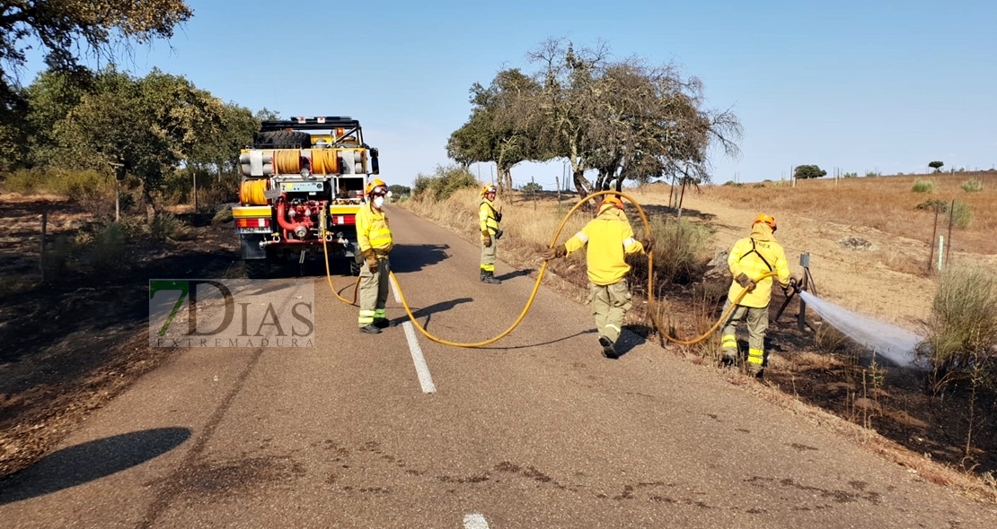 Los bomberos evitan que un incendio forestal afecte a la Sierra de San Pedro