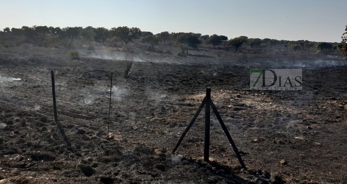 Los bomberos evitan que un incendio forestal afecte a la Sierra de San Pedro