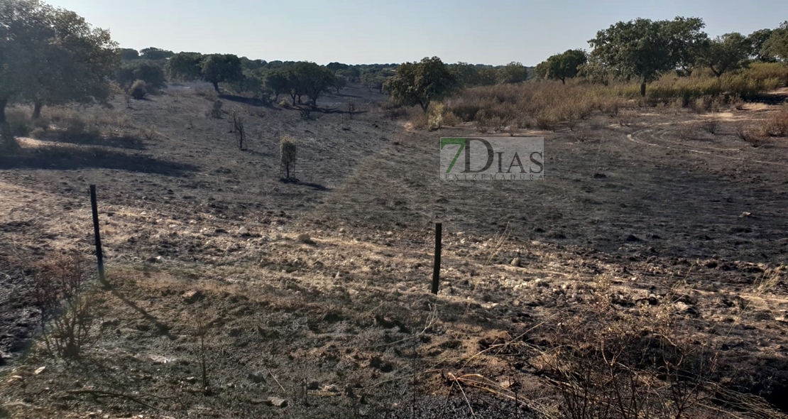 Los bomberos evitan que un incendio forestal afecte a la Sierra de San Pedro