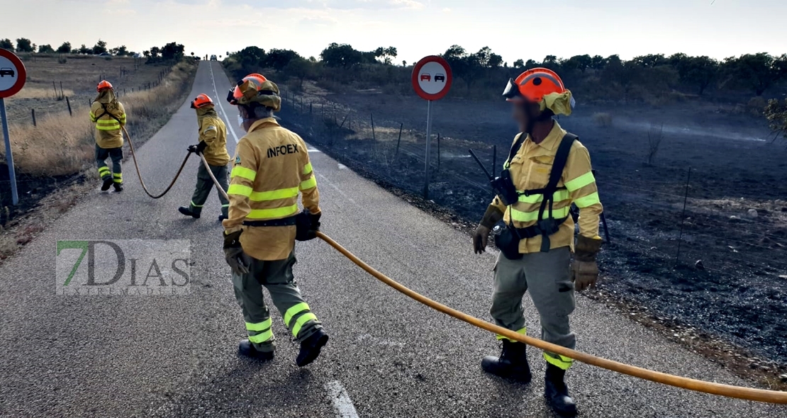 Los bomberos evitan que un incendio forestal afecte a la Sierra de San Pedro
