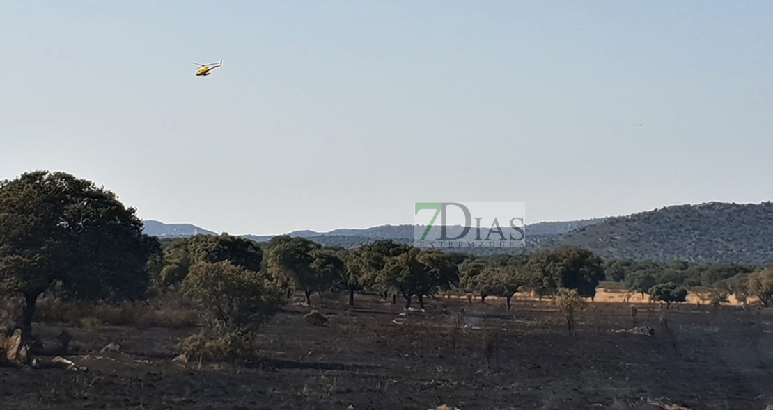 Los bomberos evitan que un incendio forestal afecte a la Sierra de San Pedro