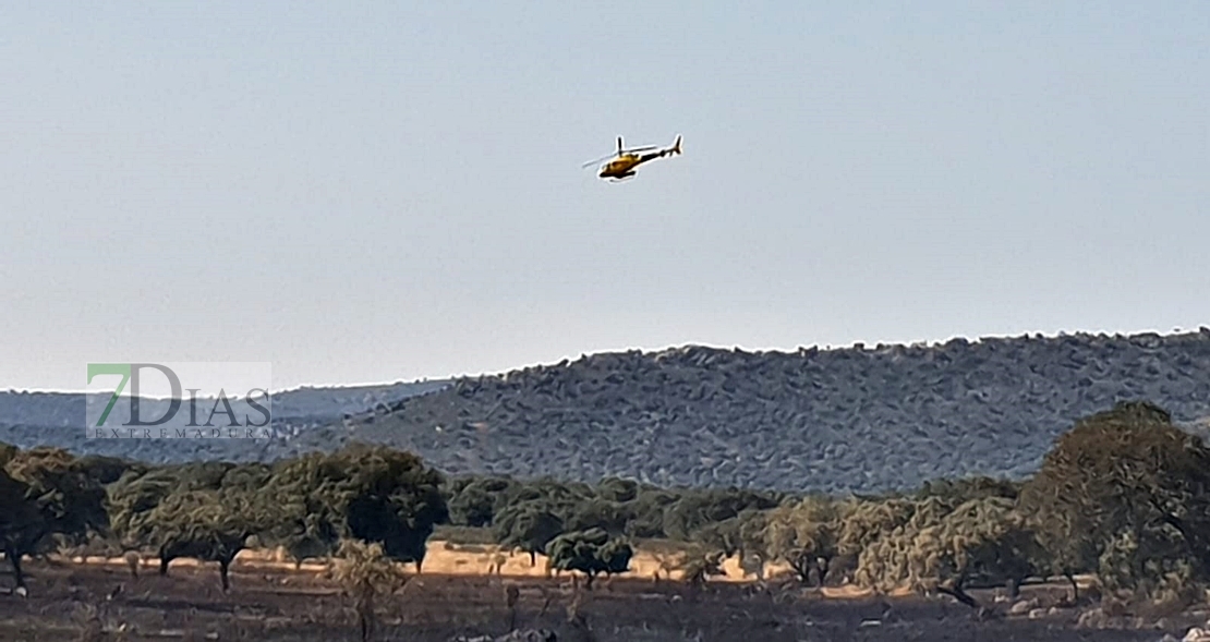 Los bomberos evitan que un incendio forestal afecte a la Sierra de San Pedro