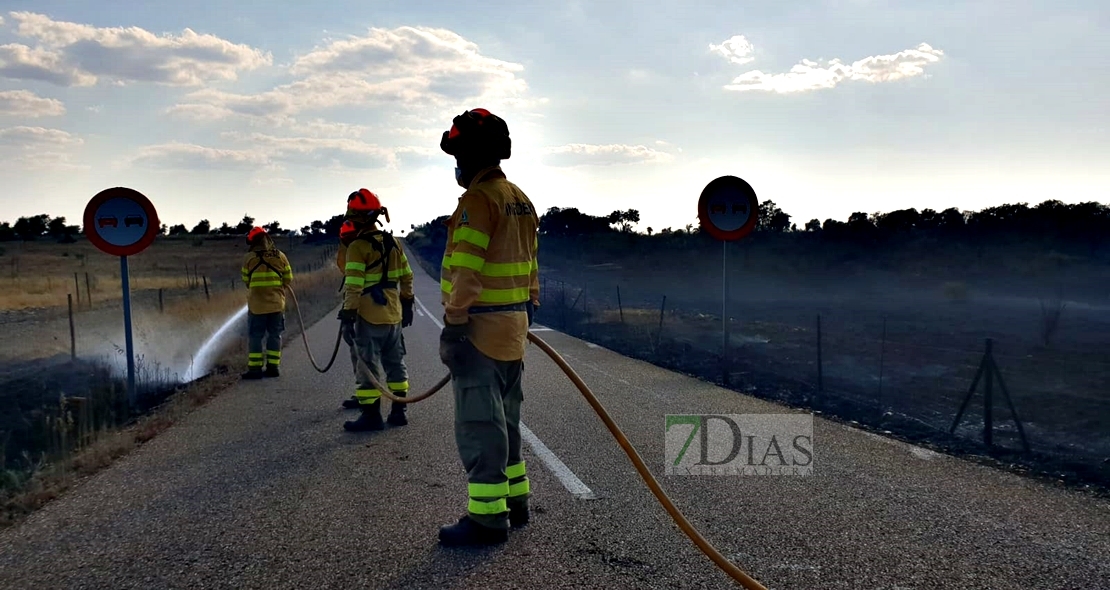 Los bomberos evitan que un incendio forestal afecte a la Sierra de San Pedro