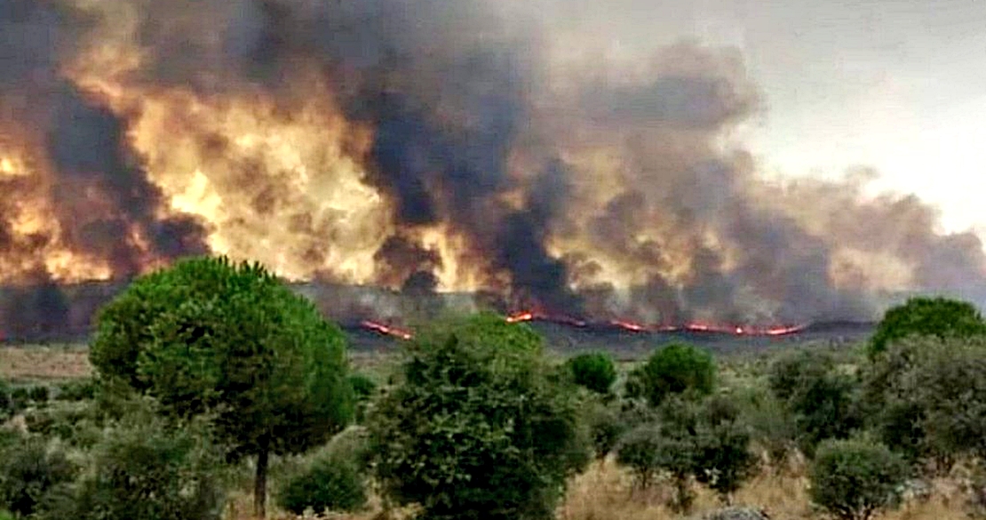 El INFOEX trabaja en un incendio forestal en la zona de Alcántara (CC)
