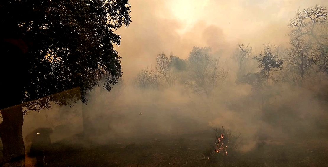 Incendio forestal en la comarca de Zafra Río-Bodión