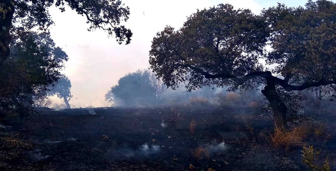 Incendio forestal en la comarca de Zafra Río-Bodión