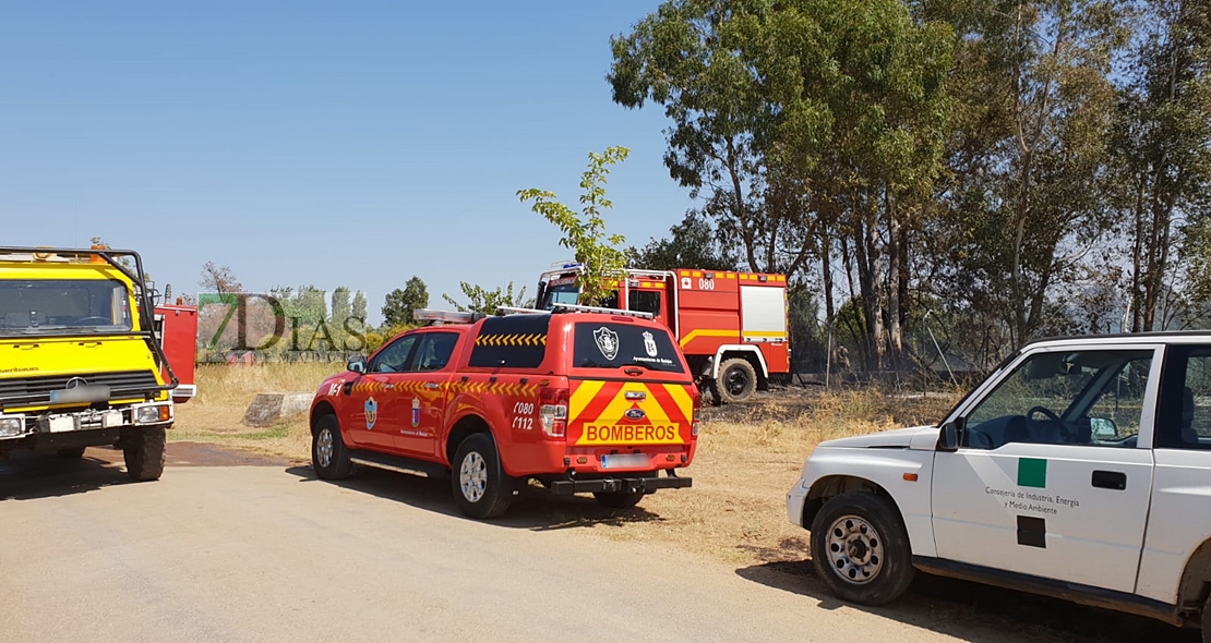 Un incendio afecta a varios chalets de la carretera de Cáceres (Badajoz)