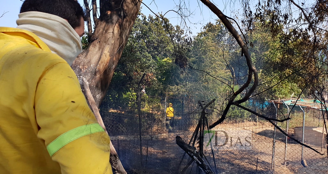 Un incendio afecta a varios chalets de la carretera de Cáceres (Badajoz)