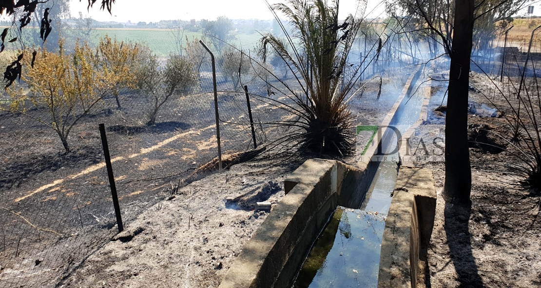 Un incendio afecta a varios chalets de la carretera de Cáceres (Badajoz)