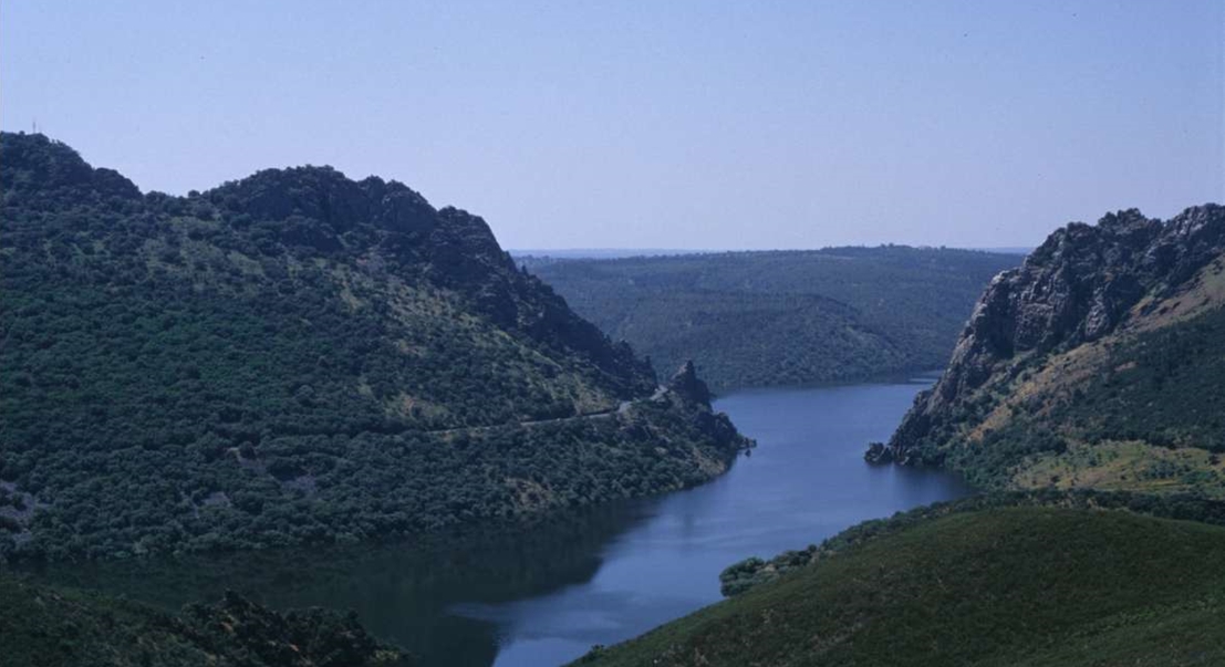 ONGS critican el programa de acción selectiva en el parque nacional de Monfragüe