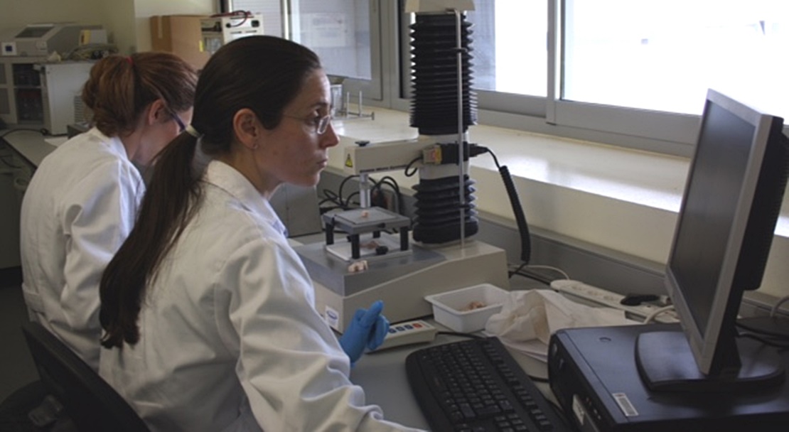 CICYTEX participa en un proyecto para implantar planes de igualdad de género
