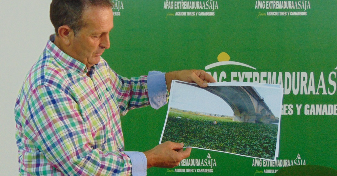 APAG propone recurrir a un herbicida extremeño para acabar con el camalote