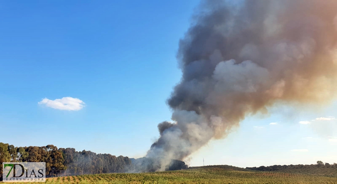 Incendio fuera de control cerca de Alvarado (Badajoz)